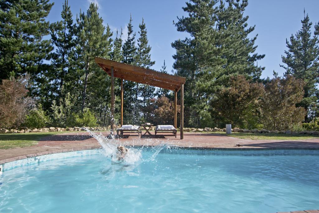 Lalapanzi Lodge ซัมเมอร์เซ็ต เวสต์ ห้อง รูปภาพ